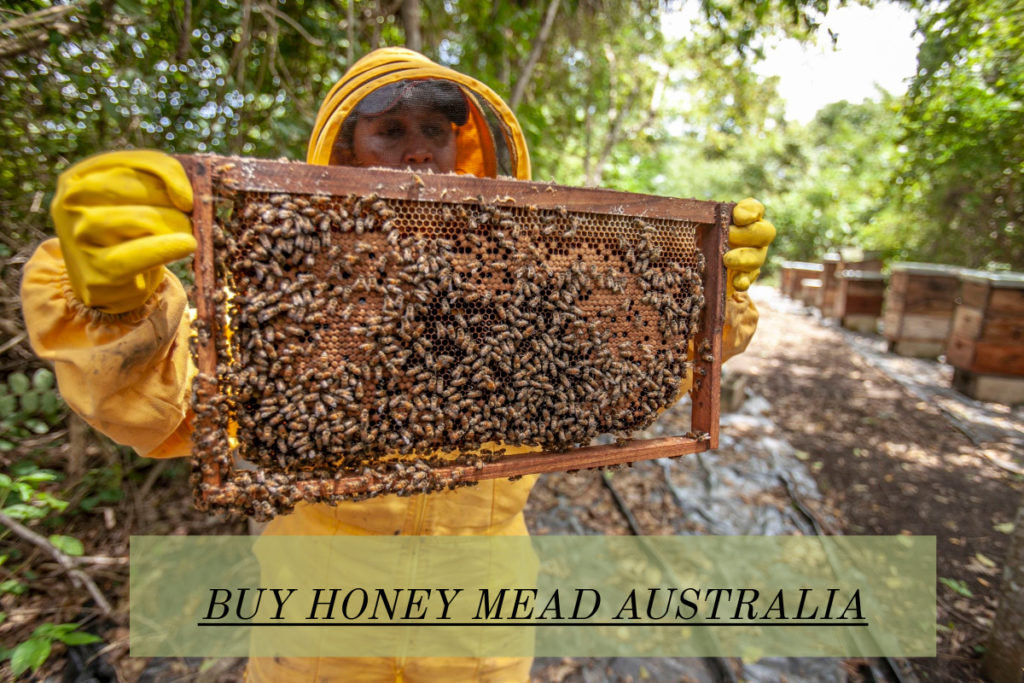 beehive being harvested for honey